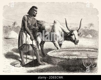 Abbeveratoio abissino, Etiopia. Inciso il vecchio 19 ° secolo, narrazione di un viaggio attraverso Abyssinia di Guillaume Lejean da El Mundo en la mano 1879 Foto Stock