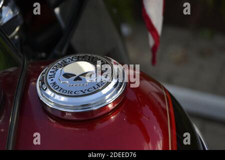 Dettaglio del marchio motociclistico, harley davidson con logo in metallo cromato, moto, serbatoio di gas su sfondo rosso, Brasile, Sud America Foto Stock