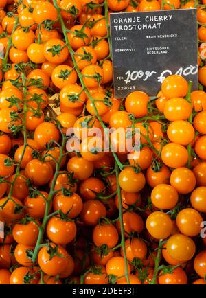 AMSTERDAM, PAESI BASSI - 01 MAGGIO 2018: Pomodori freschi sul vitigno in bancarella olandese con etichetta di prezzo Foto Stock