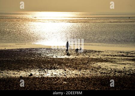 Una donna cammina i suoi cani sulle pianure di fango esposte a bassa marea a Southend-on-Sea sull'estuario del Tamigi in Essex. Foto Stock