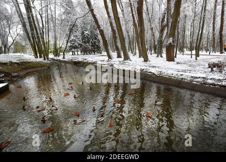 Minsk. 30 novembre 2020. Photo taken on 30 novembre 2020 mostra una scena in un parco a Minsk, Bielorussia. La città ha visto la prima nevicata di questo inverno lunedì. Credit: Henadz Zhinkov/Xinhua/Alamy Live News Foto Stock