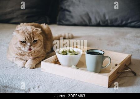 Edibles del CBD, spuntini infusi del CBD, wafer di canapa con cannabis. Spuntini TESTY CBD in ciotola e tazza di tè alle erbe su vassoio di legno sul divano a casa Foto Stock