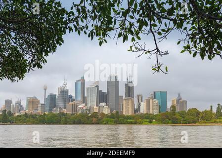 Sydney, New South Wales, Australia; una vista degli alti edifici degli uffici visti dai Giardini Botanici di Sydney. Foto Stock