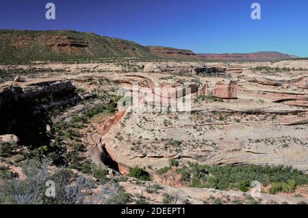 Natural Bridges National Monument in Utah Foto Stock