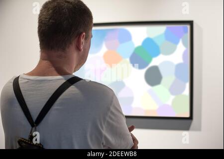 Giovane uomo in galleria d'arte moderna che contempla opere d'arte. Pittura astratta Foto Stock