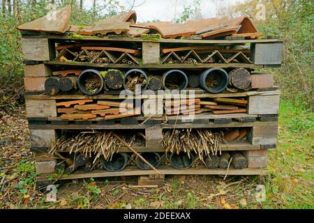 Un bug hotel per la conservazione della fauna selvatica. Foto Stock