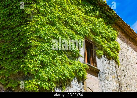 Casa in pietra castigliana tradizionale coperta di edera. Sepulveda, Segovia, Castilla y León, Spagna, Europa Foto Stock