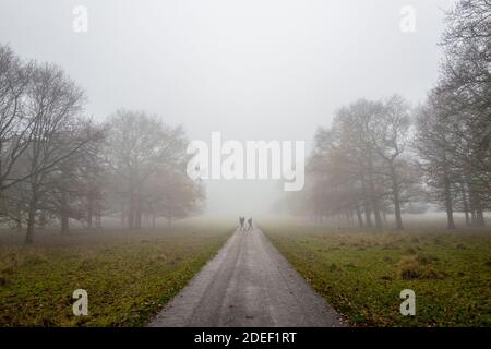 La gente cammina lungo una piccola strada di campagna alberata in una tarda serata di nebbia. Foto Stock
