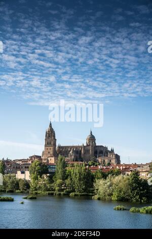 Vista generale del vecchio ponte di Salamanca, Spagna, Europa. Foto Stock