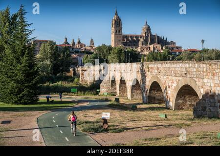 Vista generale del vecchio ponte di Salamanca, Spagna, Europa. Foto Stock