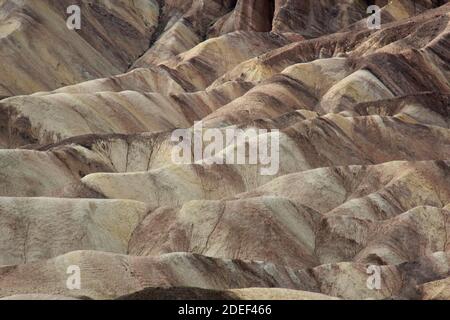 Dune sabbiose color giallo pastello a Zabriskie Point nella Death Valley, California Foto Stock