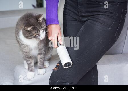 Mano della donna con rullo per vestiti, rullo per pelucchi o rullo adesivo che rimuove peli e lanugine dagli abiti. Gatti capelli su vestiti Foto Stock