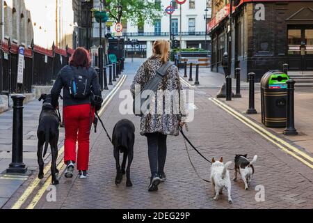 Inghilterra, Londra, due donne Dog Walking Foto Stock