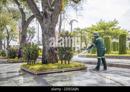 Bangkok si sta preparando per l'evento, il quartiere del Palazzo reale, l'incoronazione del Re di Thailandia, Rama X, sua Maha Vajiralongkorn Bodindradebayavarangkun, Bangkok, Thailandia. 2 maggio 2019. Foto di Loic Baratoux/ABACAPRESS.COM Foto Stock