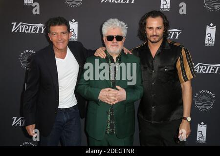 Pedro Almodovar, Antonio Banderas e Asier Etxeandia presero parte alla fotocellula per la terrazza 'The Journey by the Land' durante il 72° Festival del Cinema di Cannes, il 16 maggio 2019 a Cannes, Francia. Foto di Jerome Domine/ABACAPRESS.COM Foto Stock