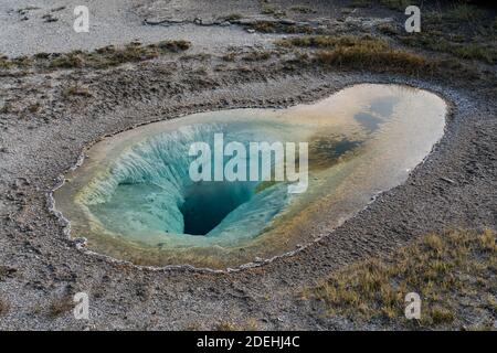 La piscina belga è una tranquilla sorgente termale di clearwater nel bacino di Upper Geyser nel Parco Nazionale di Yellowstone, Wyoming, Stati Uniti. Foto Stock