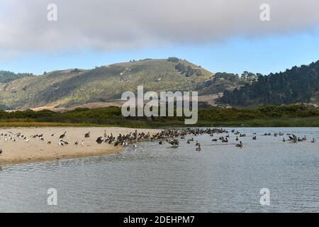 Carmel River state Beach, Carmel-by-the-Sea, Monterey Peninsula, California Foto Stock