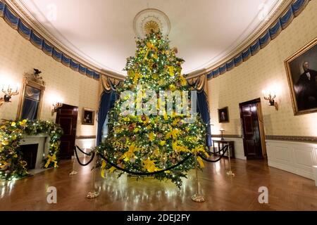 Washington, Stati Uniti d'America. 29 Nov 2020. Washington, Stati Uniti d'America. 29 novembre 2020. Alberi di Natale nella stanza blu della Casa Bianca durante la stagione di Natale decorazione anteprima 29 novembre 2020 a Washington, DC. Il tema delle decorazioni del 2020 è "America la bella". Credit: Andrea Hanks/White House Photo/Alamy Live News Foto Stock