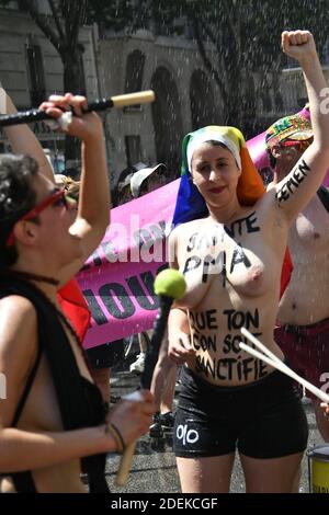 I partecipanti alla parata annuale di Gay Pride il 29 giugno 2019 a Parigi, in Francia, come un'ondata di caldo ha colpito la capitale francese. Foto di Karim Ait Adjedjou/Avenir Pictures/ABACAPRESS.COM Foto Stock