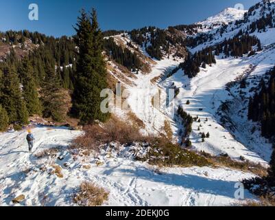 Un uomo cammina attraverso una foresta invernale in una giornata di sole. Un uomo cammina lungo un sentiero tra abeti in montagna Foto Stock