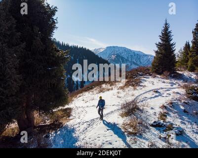 Un uomo cammina attraverso una foresta invernale in una giornata di sole. Un uomo cammina lungo un sentiero tra abeti in montagna Foto Stock