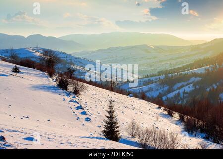 paesaggio rurale invernale all'alba. alberi e campi su colline innevate. cresta di montagna in lontananza sotto un cielo blu luminoso con le nuvole Foto Stock