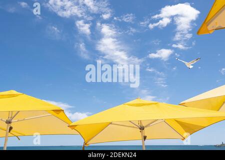 Ombrelloni sulla spiaggia presso la spiaggia dei bagnanti di Fremantle. Foto Stock