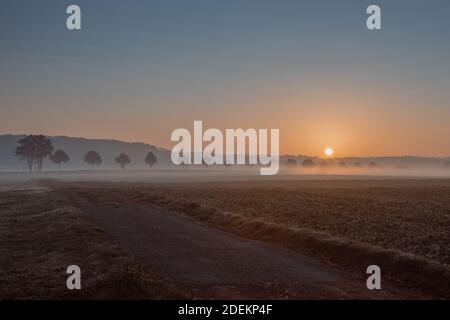 il sole sorge su un campo Foto Stock