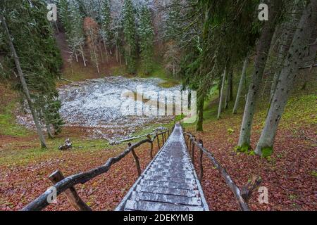 Il duobe di Velnio o il pit del diavolo, fenomeno geologico insolito, un'impressionante cavità sotterranea, situato nel Parco Regionale di Aukstadfaris in Lituania. Foto Stock