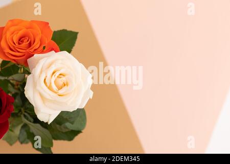 Rose bianche e arancioni su sfondo rosa e arancione Foto Stock