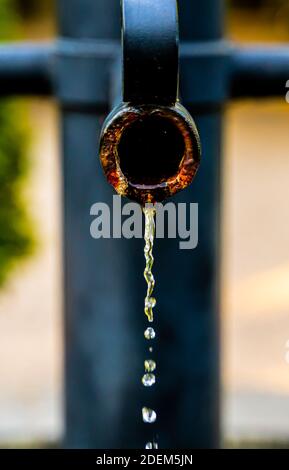 L'acqua gocciola lentamente da un tubo di acciaio nero su una fontana in un parco. Primo piano. . Foto di alta qualità Foto Stock