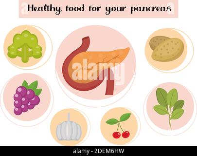 Cibo sano per il pancreas. Concetto di cibo e vitamine, medicina, prevenzione delle malattie pancreatiche. Illustrazione vettoriale Illustrazione Vettoriale