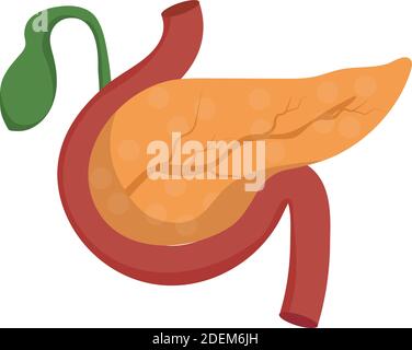 Pancreas icona in stile cartoon isolato su sfondo bianco. Illustrazione vettoriale del simbolo degli organi Illustrazione Vettoriale