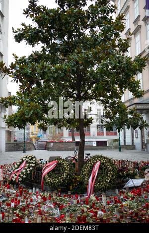 Fiori e candele al memoriale dell'attentato terroristico di Vienna del 2020, Vienna Austria Foto Stock