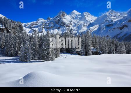 Geografia / viaggio, Svizzera, Blueemlisalp Rothorn, Blueemlisalphorn, Oeschinenhorn, Bernese Alp, Additional-Rights-Clearance-Info-Not-Available Foto Stock