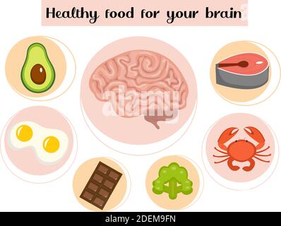 Cibo sano per il cervello. Concetto di cibo e vitamine, stimolazione, miglioramento delle prestazioni mentali. Illustrazione vettoriale Illustrazione Vettoriale