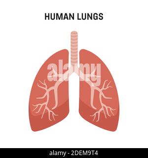 Polmoni umani. Simboli medici, polmoni umani con struttura astratta Illustrazione Vettoriale