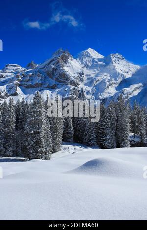 Geografia / viaggio, Svizzera, Blueemlisalp Rothorn, Blueemlisalphorn, Oeschinenhorn, Bernese Alp, Additional-Rights-Clearance-Info-Not-Available Foto Stock