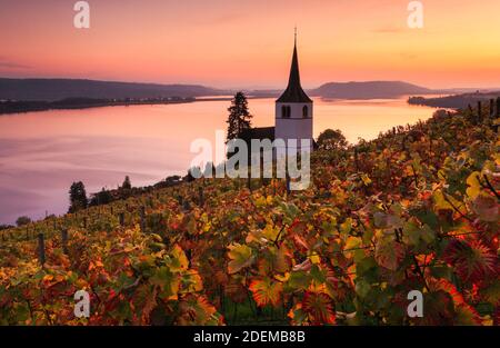 Geografia / viaggio, Svizzera, Ligerz a Bielrsee (Lago di Bielr), Berna, No-cartolina-No-Greetingcard-No-Folding-Card-use, in tutto il mondo, tempo illimitato, Foto Stock