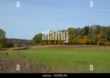 paesaggio rurale panorama in autunno dorato con campo e. bosco Foto Stock
