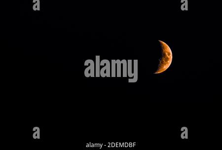 Luna di sangue o luna dei cacciatori che si innalzano su un cielo notturno nero. Foto Stock