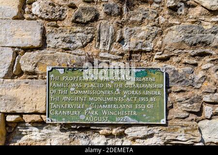 Lapide sulle mura di Netley Abbey, le rovine di un monastero cistercense medievale e un villaggio sulla costa meridionale dell'Hampshire, Inghilterra meridionale Foto Stock