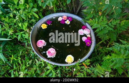 Accogliente, giardini Roquelin, Meung-sur-Loire Village, dipartimento del Loiret, la Valle della Loira, Francia, Europa Foto Stock