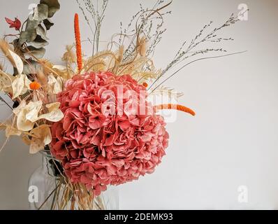 Arrangiamento di fiori secchi in tenui toni rosa contro un neutro sfondo bianco Foto Stock