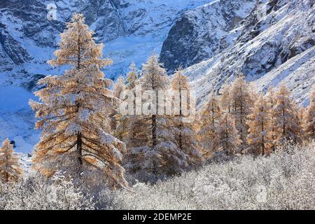 Geografia / viaggio, Svizzera, Arolatal (Valle di Arolla), Vallese, diritti-aggiuntivi-liquidazione-Info-non-disponibile Foto Stock