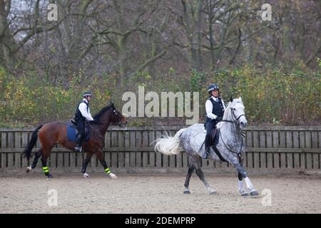 Londra, Regno Unito, 25 novembre 2020: Gli agenti di polizia della Metropolitan Police Force di Londra si allenano con i loro cavalli ad Hyde Park. Anna Watson/Alamy Live News Foto Stock