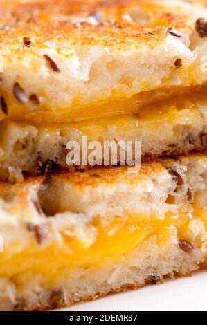 classico pranzo con formaggio geilled su pane di pasta seminata Foto Stock