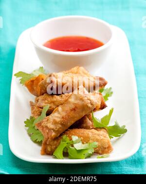 involtini primaverili fatti in casa con maiale e salsa piccante al pepe Foto Stock