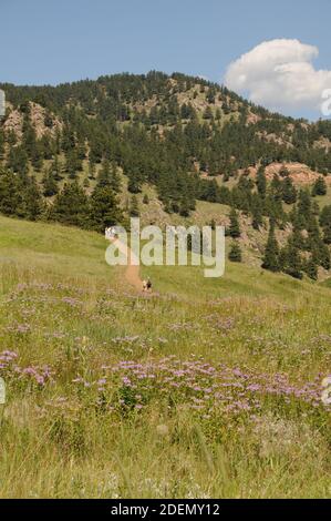 Escursione estiva ai piedi di Boulder, Colorado, USA. Sentiero escursionistico che conduce alle colline e alle montagne. Foto Stock