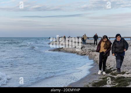 Falsterbo, Svezia - 15 novembre 2020: La gente sta camminando in una riserva naturale per vedere una colonia di foche del porto. Molti godono la natura mentre mantengono la distanza sociale durante i tempi della corona Foto Stock